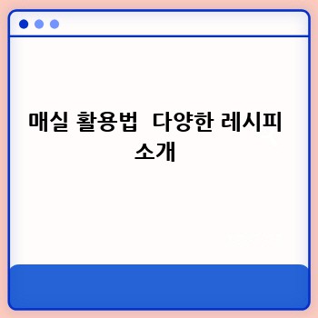 매실 활용법  다양한 레시피 소개
