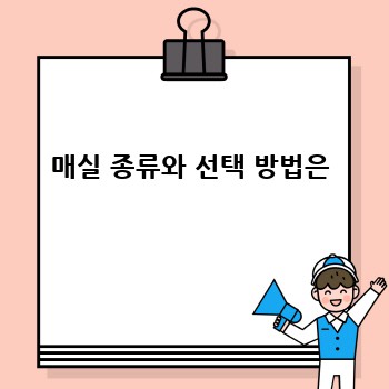 매실 종류와 선택 방법은
