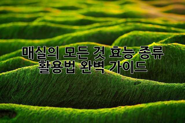 매실의 모든 것: 효능, 종류, 활용법 완벽 가이드