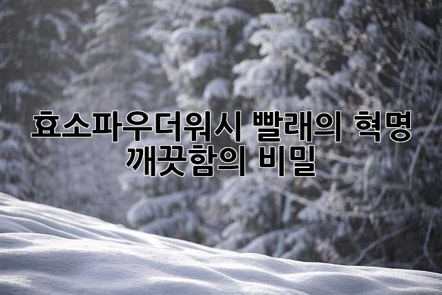 효소파우더워시: 빨래의 혁명, 깨끗함의 비밀