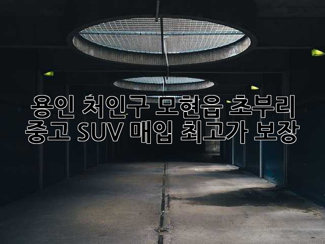 용인 처인구 모현읍 초부리 중고 SUV 매입, 최고가 보장!