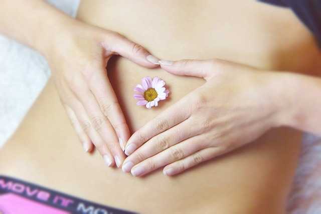 다이어트 식단 완벽 가이드: 효과적인 다이어트 계획부터 성공 전략까지
