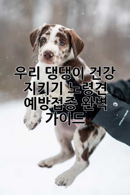 우리 댕댕이 건강 지키기: 노령견 예방접종 완벽 가이드