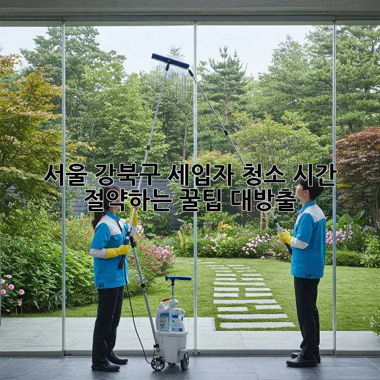 서울 강북구 세입자 청소: 시간 절약하는 꿀팁 대방출! 서울 강북구 세입자 청소: 시간 절약하는 꿀팁 대방출!