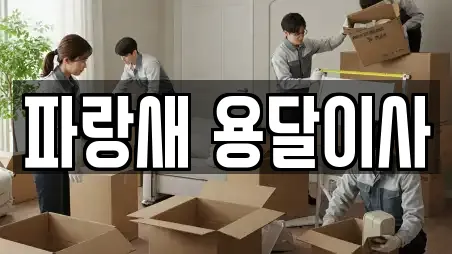 파랑새 용달이사