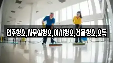 입주청소,사무실청소,이사청소,건물청소,소독