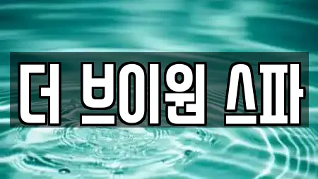 더 브이원 스파