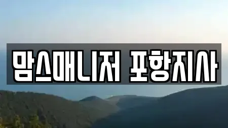 맘스매니저 포항지사