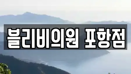 블리비의원 포항점