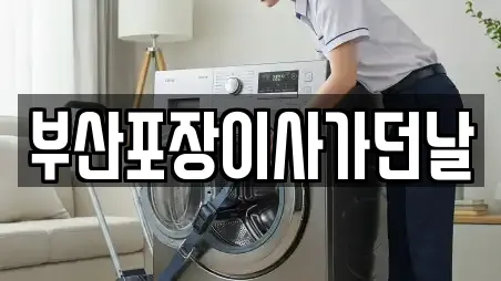 부산포장이사가던날