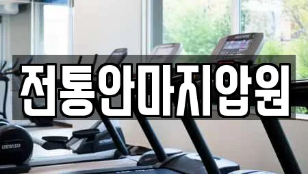 전통안마지압원