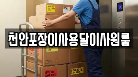 천안포장이사용달이사원룸