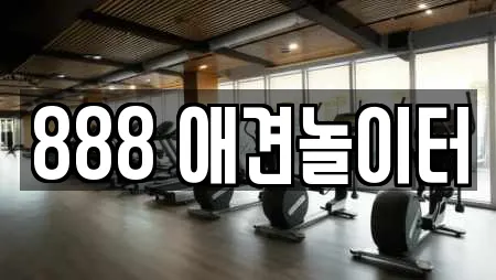 888 애견놀이터