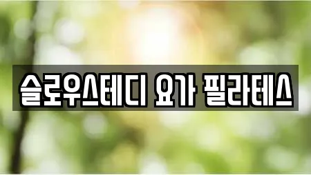 슬로우스테디 요가 필라테스