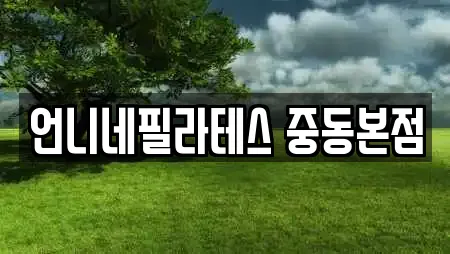 언니네필라테스 중동본점