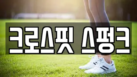 크로스핏 스펑크