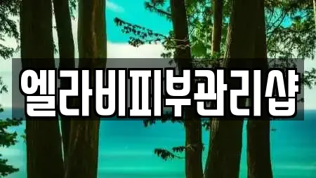 엘라비피부관리샵