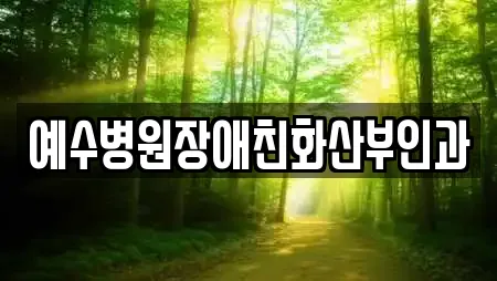 예수병원장애친화산부인과