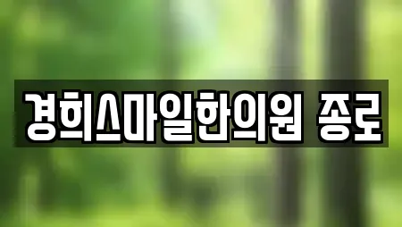 경희스마일한의원 종로