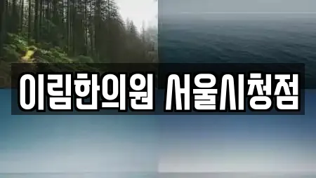 이림한의원 서울시청점