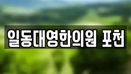 일동대영한의원 포천