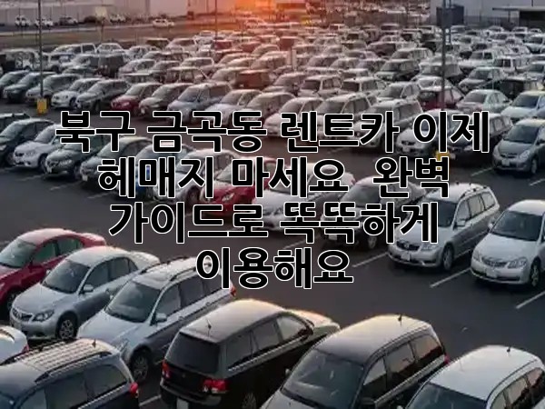 북구 금곡동 렌트카, 이제 헤매지 마세요! 🚗💨 완벽 가이드로 똑똑하게 이용해요!
