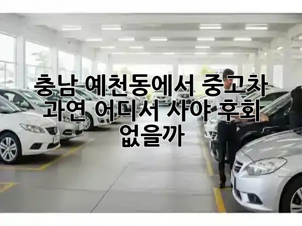 충남 예천동에서 중고차, 과연 어디서 사야 후회 없을까? 🤔✨