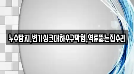 누수탐지,변기싱크대하수구막힘,역류뚫는집수리