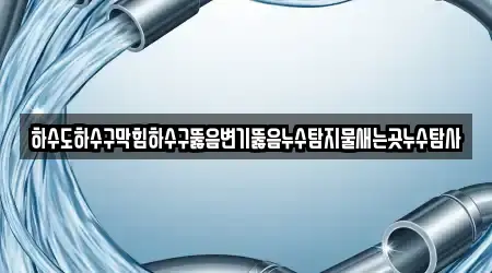 하수도하수구막힘하수구뚫음변기뚫음누수탐지물새는곳누수탐사