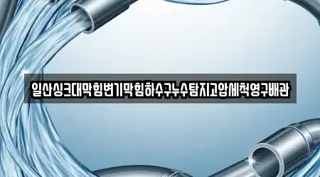 일산싱크대막힘변기막힘하수구누수탐지고압세척영구배관