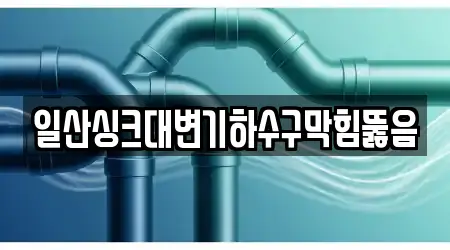 일산싱크대변기하수구막힘뚫음