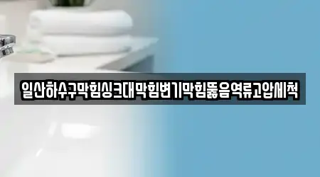 일산하수구막힘싱크대막힘변기막힘뚫음역류고압세척