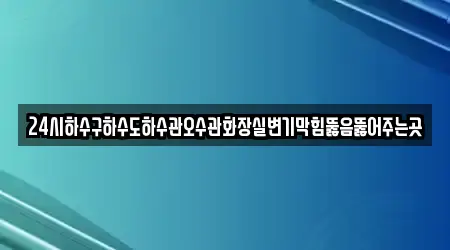 24시하수구하수도하수관오수관화장실변기막힘뚫음뚫어주는곳