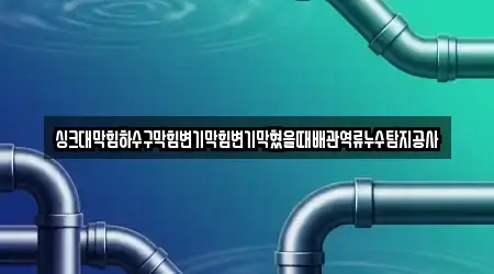 5개의 변기뚫음 업체 경기도 파주시 서패동 위치 정보