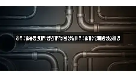 하수구뚫음싱크대막힘변기역류화장실배수구뚫기주방배관청소해빙
