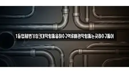 1등업체변기싱크대막힘뚫음하수구역류배관막힘뚫는곳하수구뚫어