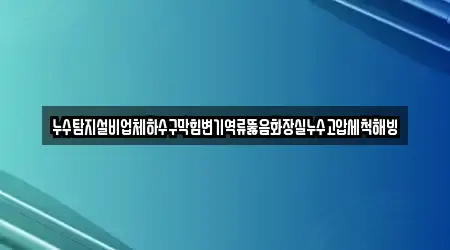 누수탐지설비업체하수구막힘변기역류뚫음화장실누수고압세척해빙