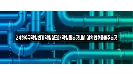 24하수구막힘변기막힘싱크대막힘뚫는곳내시경확인후뚫어주는곳
