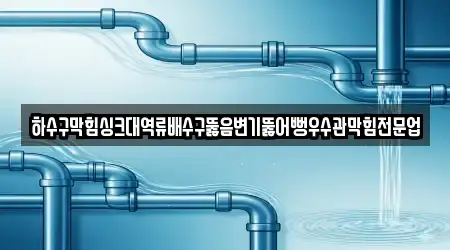 하수구막힘싱크대역류배수구뚫음변기뚫어뻥우수관막힘전문업