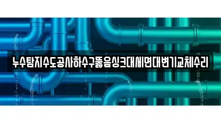 누수탐지수도공사하수구뚫음싱크대세면대변기교체수리