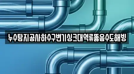 누수탐지공사하수구변기싱크대역류뚫음수도해빙