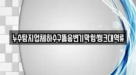 누수탐지업체하수구뚫음변기막힘씽크대역류