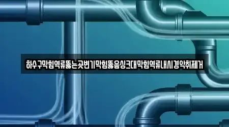 하수구막힘역류뚫는곳변기막힘뚫음싱크대막힘역류내시경악취제거