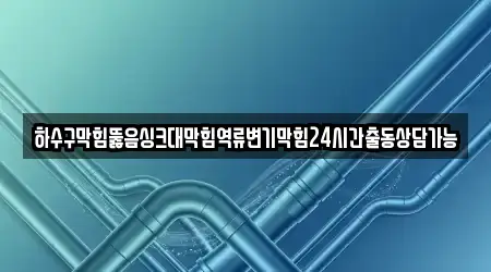 하수구막힘뚫음싱크대막힘역류변기막힘24시간출동상담가능