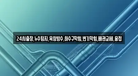 24시출장,누수탐지,옥상방수,하수구막힘,변기막힘,배관교체,용접