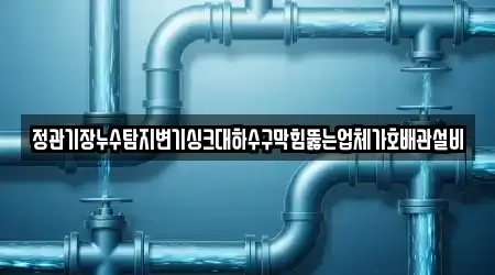 정관기장누수탐지변기싱크대하수구막힘뚫는업체가호배관설비