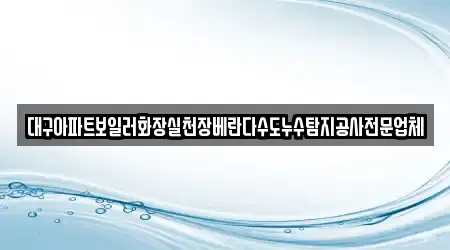 대구아파트보일러화장실천장베란다수도누수탐지공사전문업체