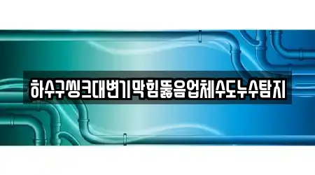하수구씽크대변기막힘뚫음업체수도누수탐지