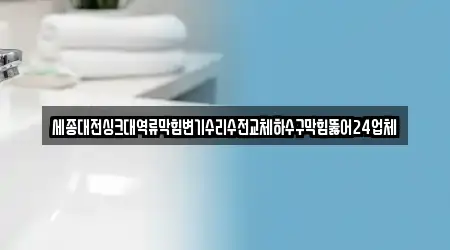 세종대전싱크대역류막힘변기수리수전교체하수구막힘뚫어24업체