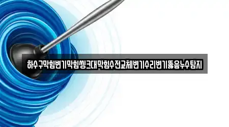 하수구막힘변기막힘씽크대막힘수전교체변기수리변기뚫음누수탐지